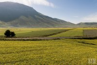 castelluccio 3 june 2013